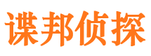 正定市场调查